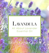 Lavandula: All About Lavender Essential Oil