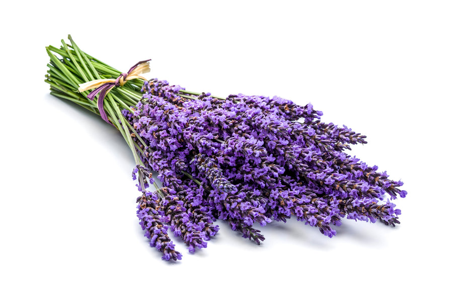 [Part 1] Why does this Lavender Essential Oil Smell Different than that one?!