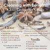 3-Pack Clove Cinnamon Vanilla All Purpose Cleaners