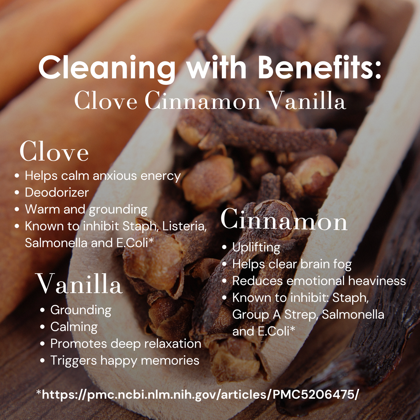 Clove Cinnamon Vanilla All-Purpose Cleaner, 16 oz