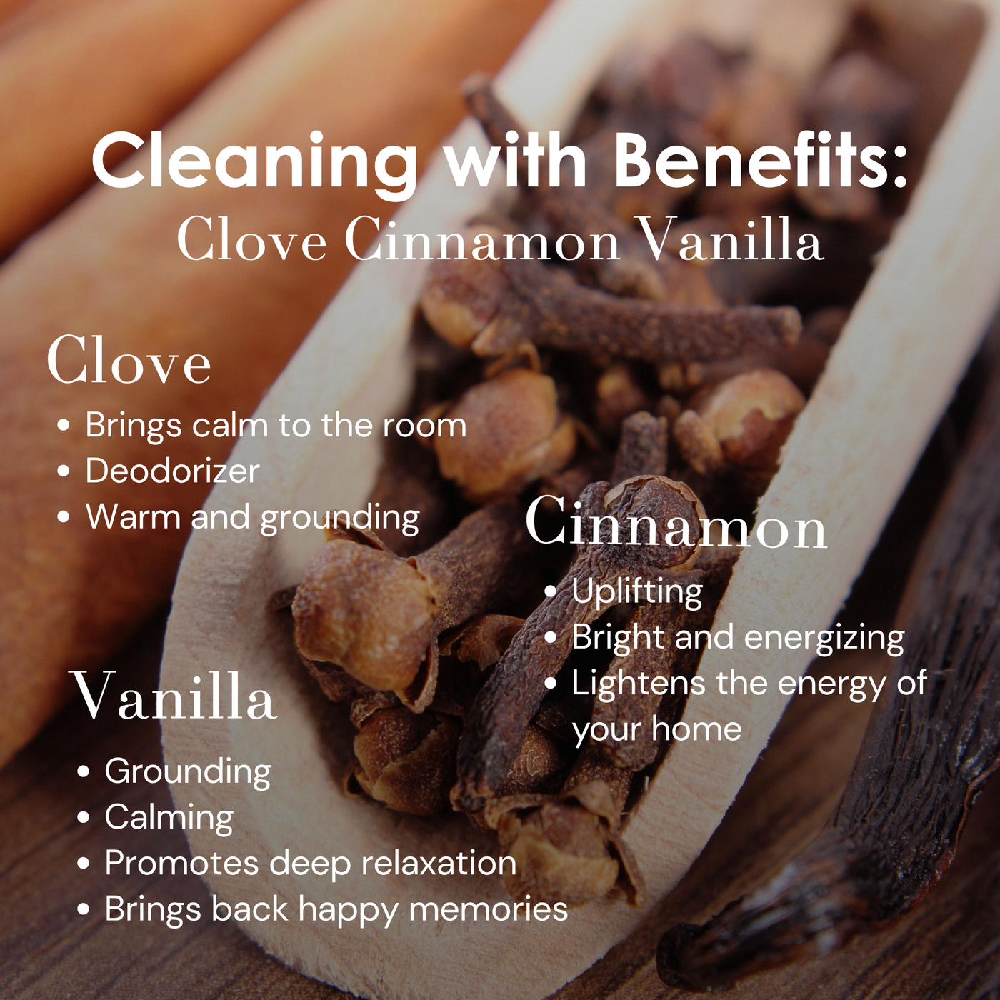 Clove Cinnamon Vanilla All-Purpose Cleaner, 3-Pack