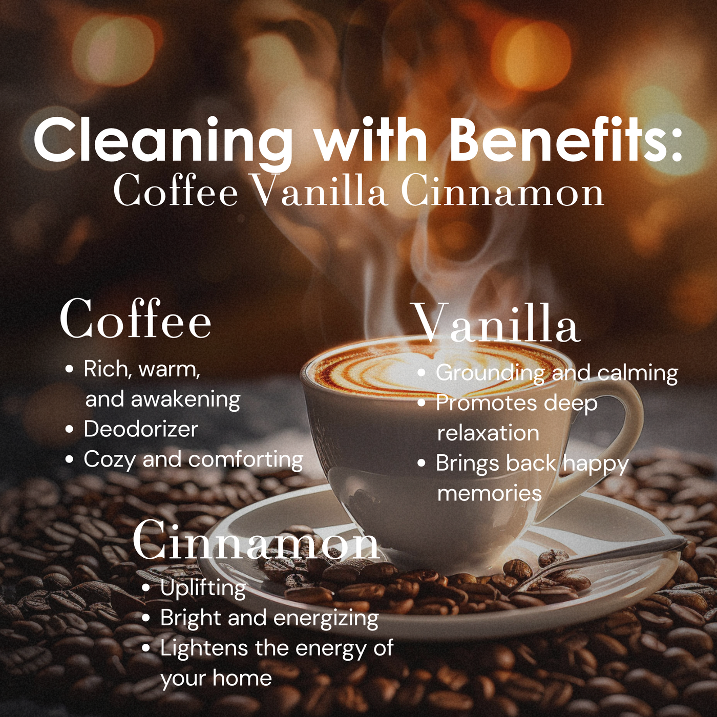 Coffee Vanilla Cinnamon Cleaning Set