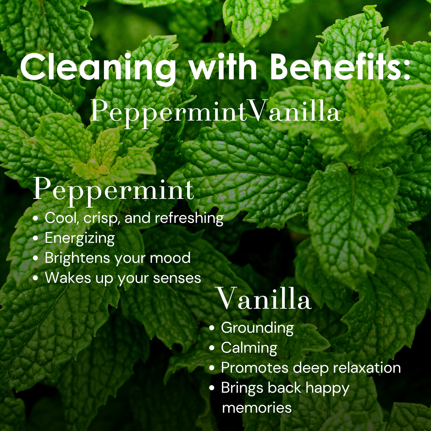 Close-up of fresh green peppermint leaves with text overlay: Cleaning with Benefits: Peppermint Vanilla. Peppermint: cool, crisp, and refreshing; energizing; brightens your mood; wakes up your senses. Vanilla: grounding; calming; soft and relaxing; brings back happy memories