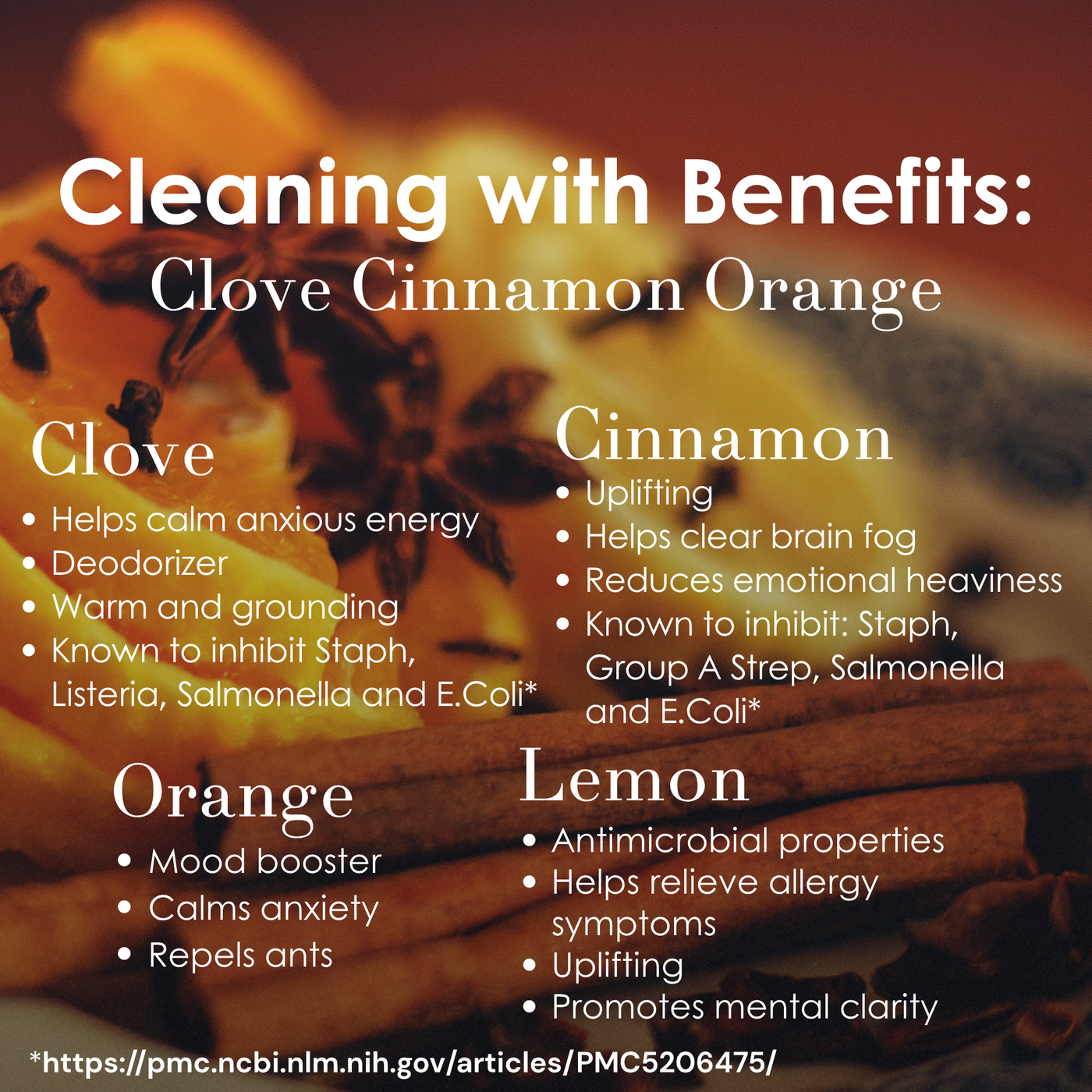 Clove Cinnamon Orange All-Purpose Cleaner, 16 oz