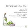 Lavender Vanilla 70% Alcohol Hand Spray, 1 oz